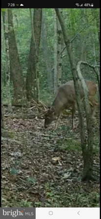 $100,000 | Big Woods Road, Ingleside, MD 21644