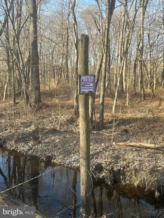 $100,000 | Big Woods Road, Ingleside, MD 21644