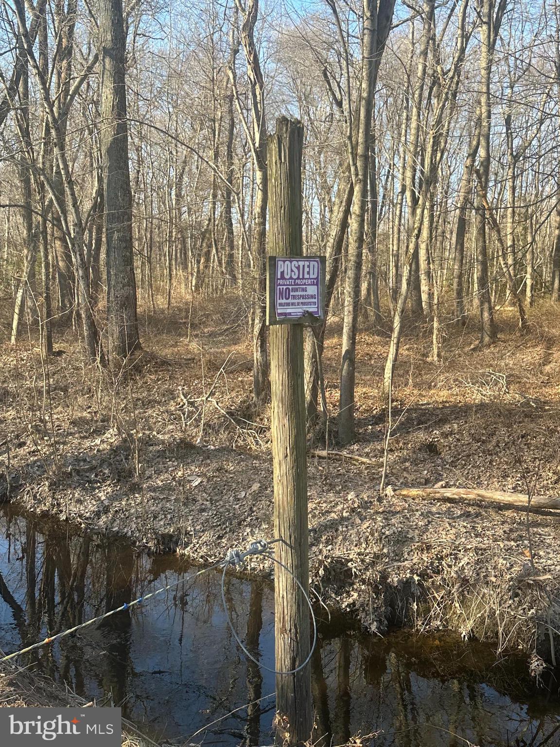 Big Woods Road Ingleside, MD 21644 - Photo 14 of 19