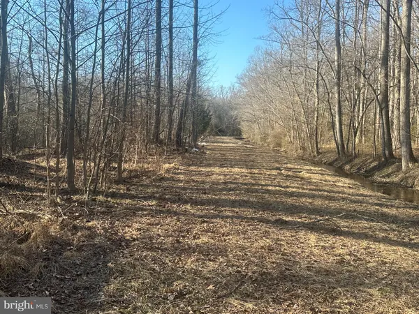 $100,000 | Big Woods Road, Ingleside, MD 21644