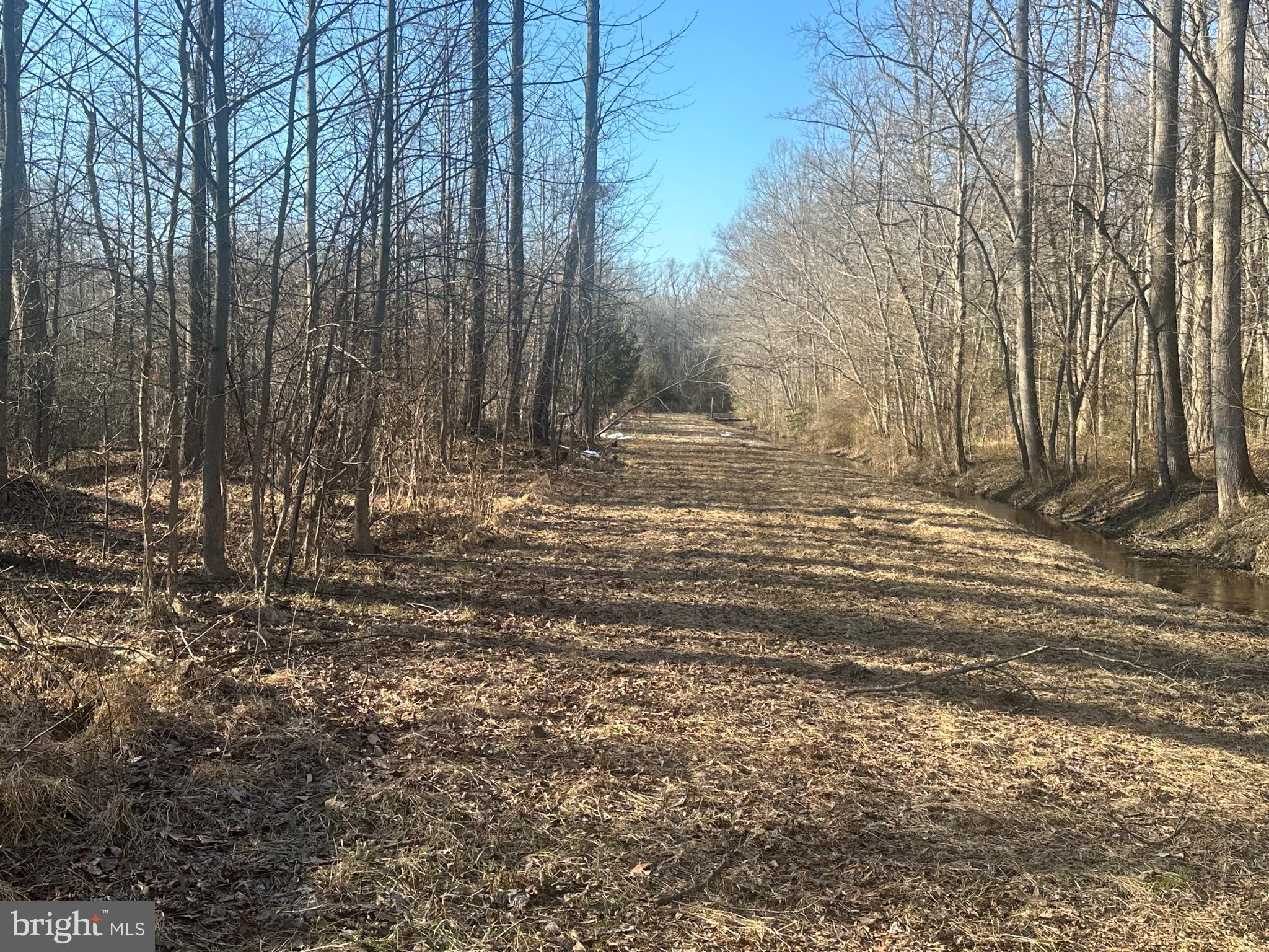 Big Woods Road Ingleside, MD 21644 - Photo 15 of 19