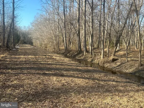 $100,000 | Big Woods Road, Ingleside, MD 21644