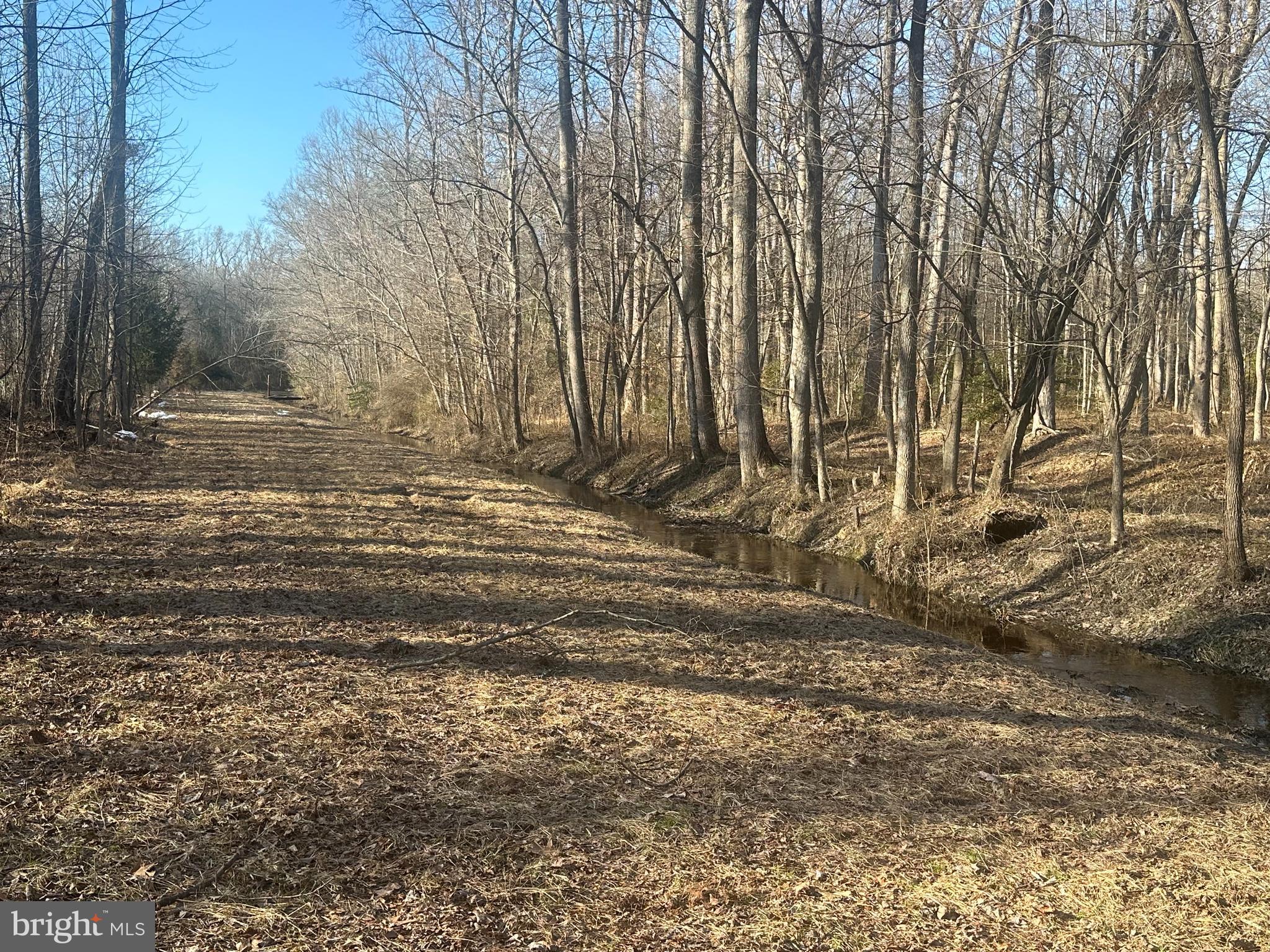 Big Woods Road Ingleside, MD 21644 - Photo 16 of 19