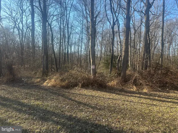 $100,000 | Big Woods Road, Ingleside, MD 21644