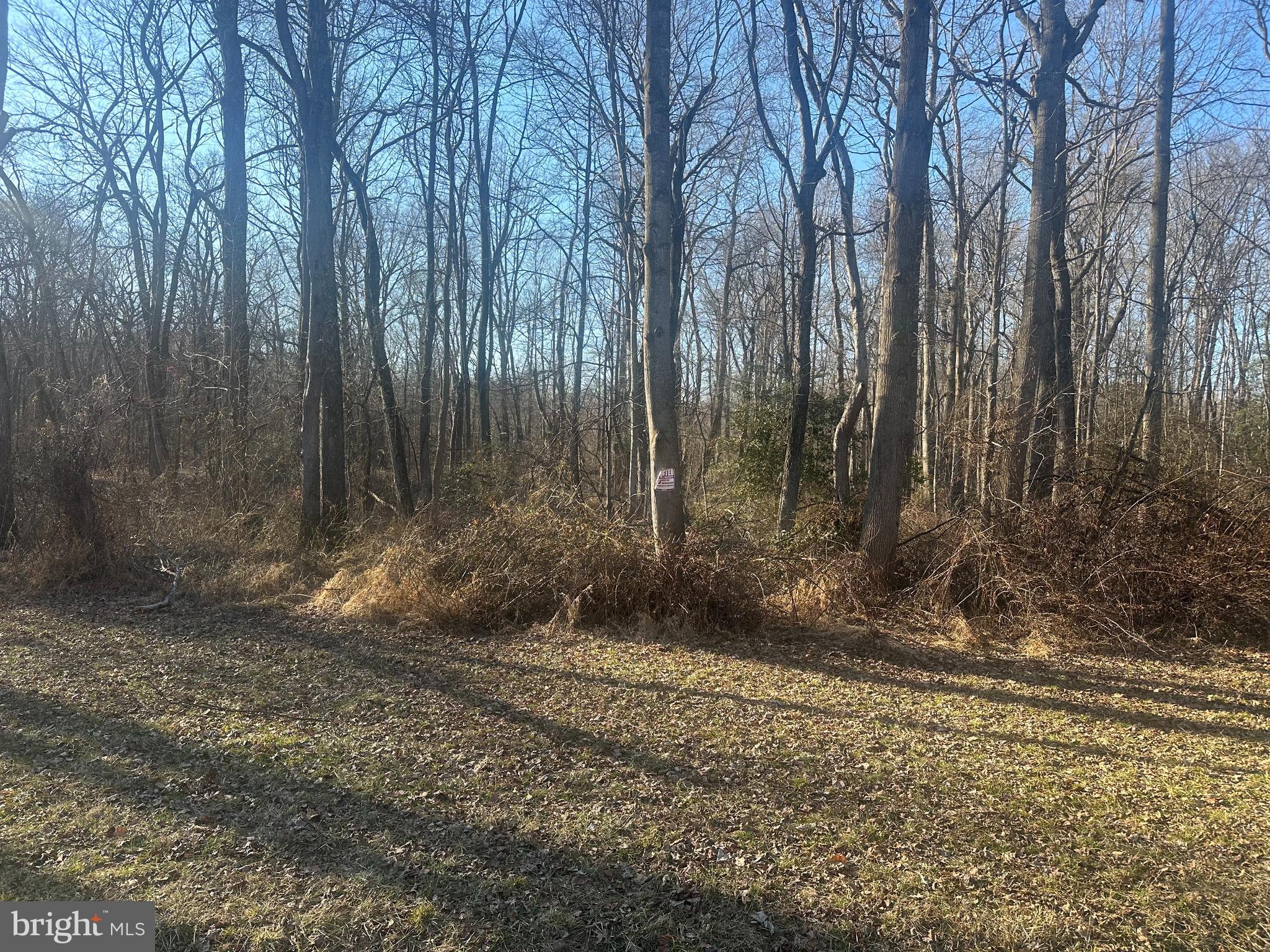 Big Woods Road Ingleside, MD 21644 - Photo 17 of 19