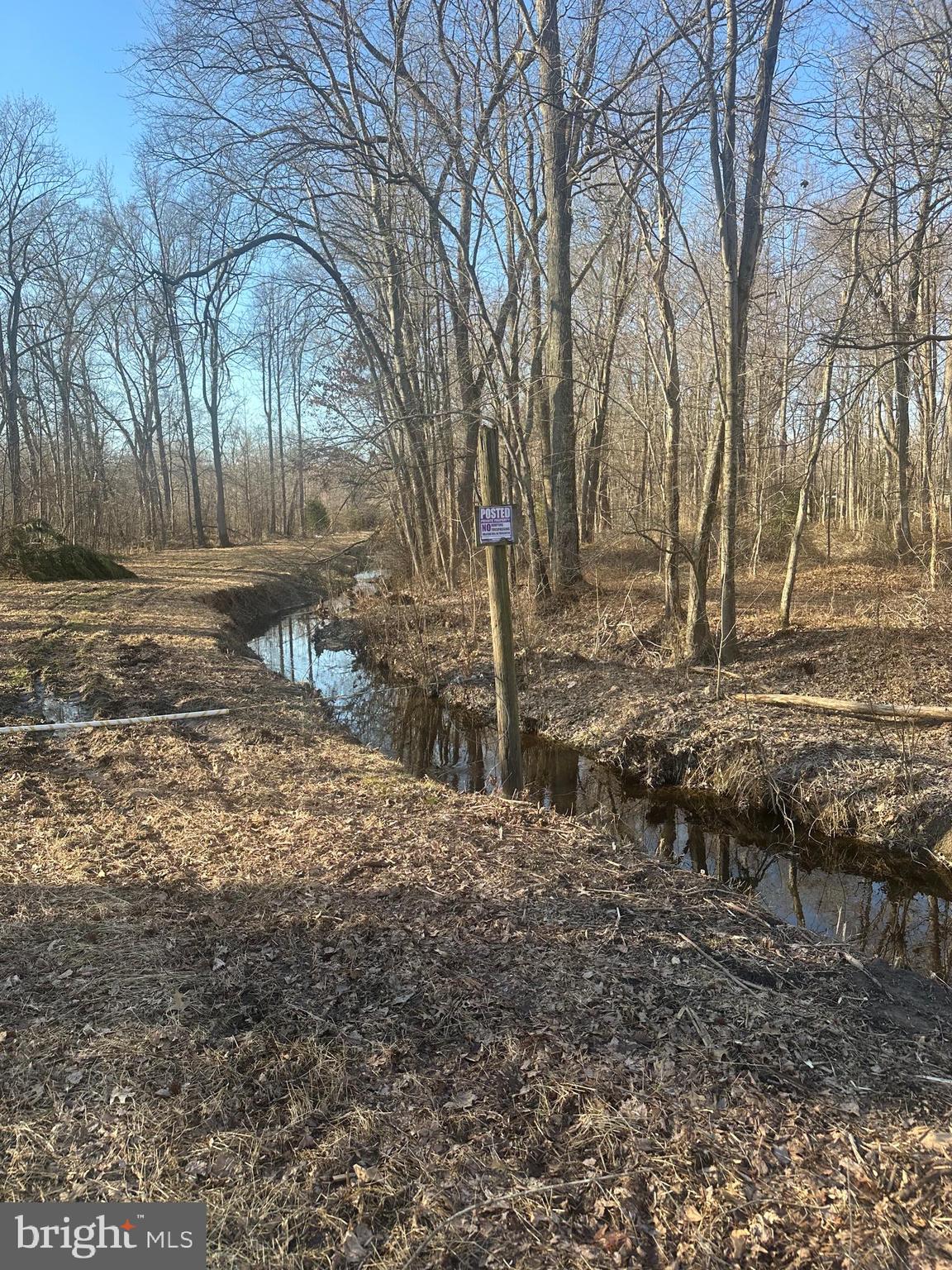 Big Woods Road Ingleside, MD 21644 - Photo 2 of 19