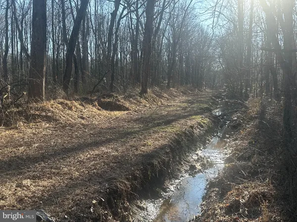 $100,000 | Big Woods Road, Ingleside, MD 21644