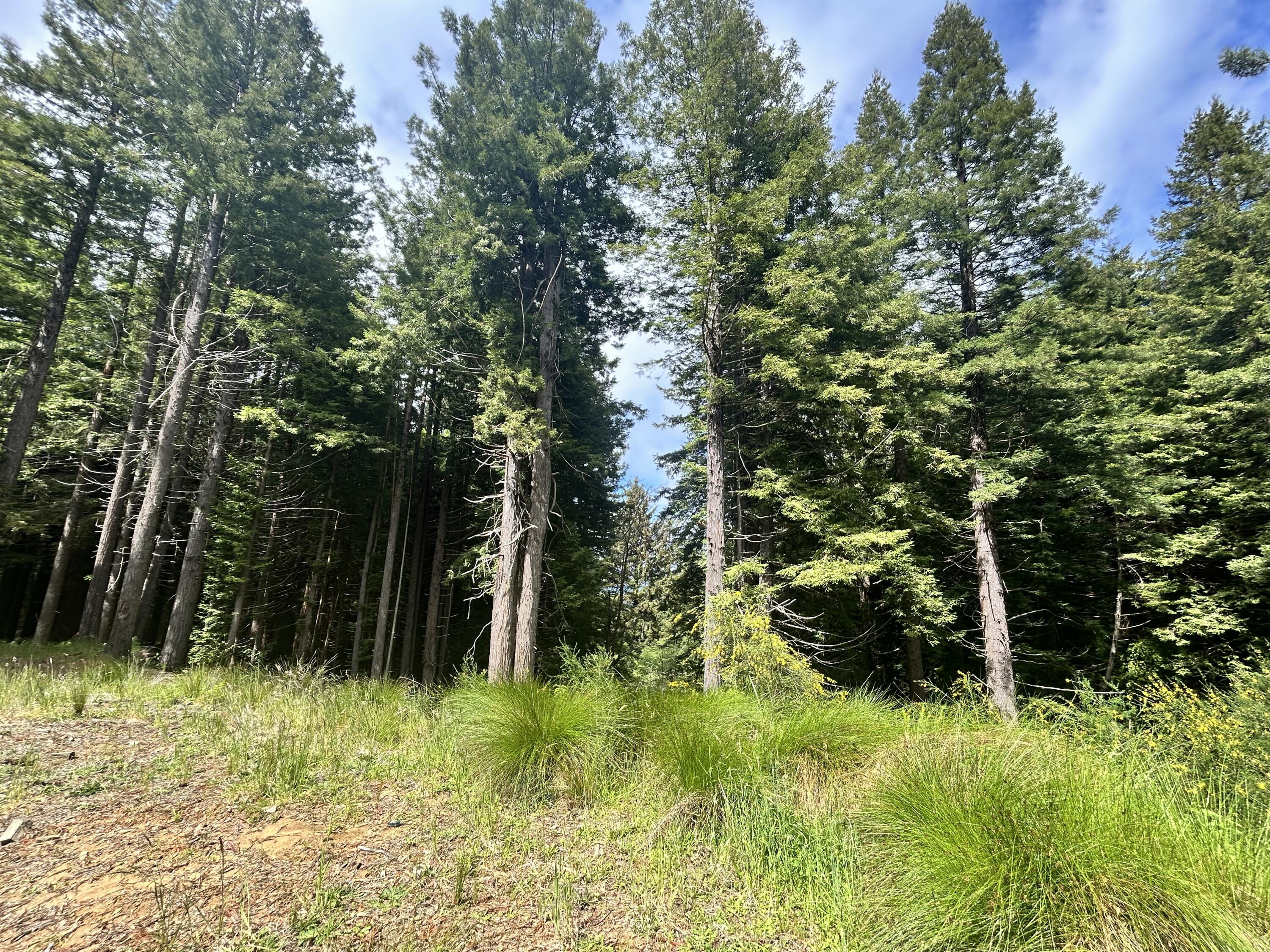 0 May Road Eureka, CA 95503 - Photo 2 of 10