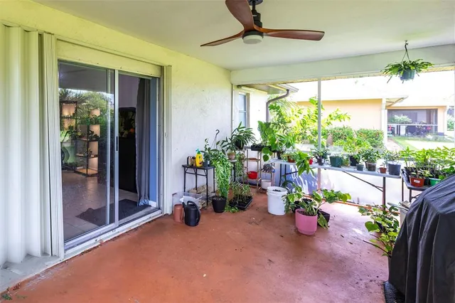 a view of a porch with a potted plant