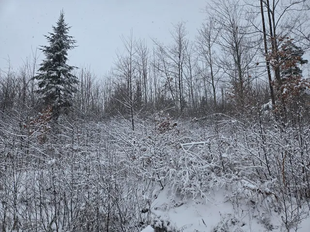 $69,900 | 221 Brown Road, Oakfield, ME 04763