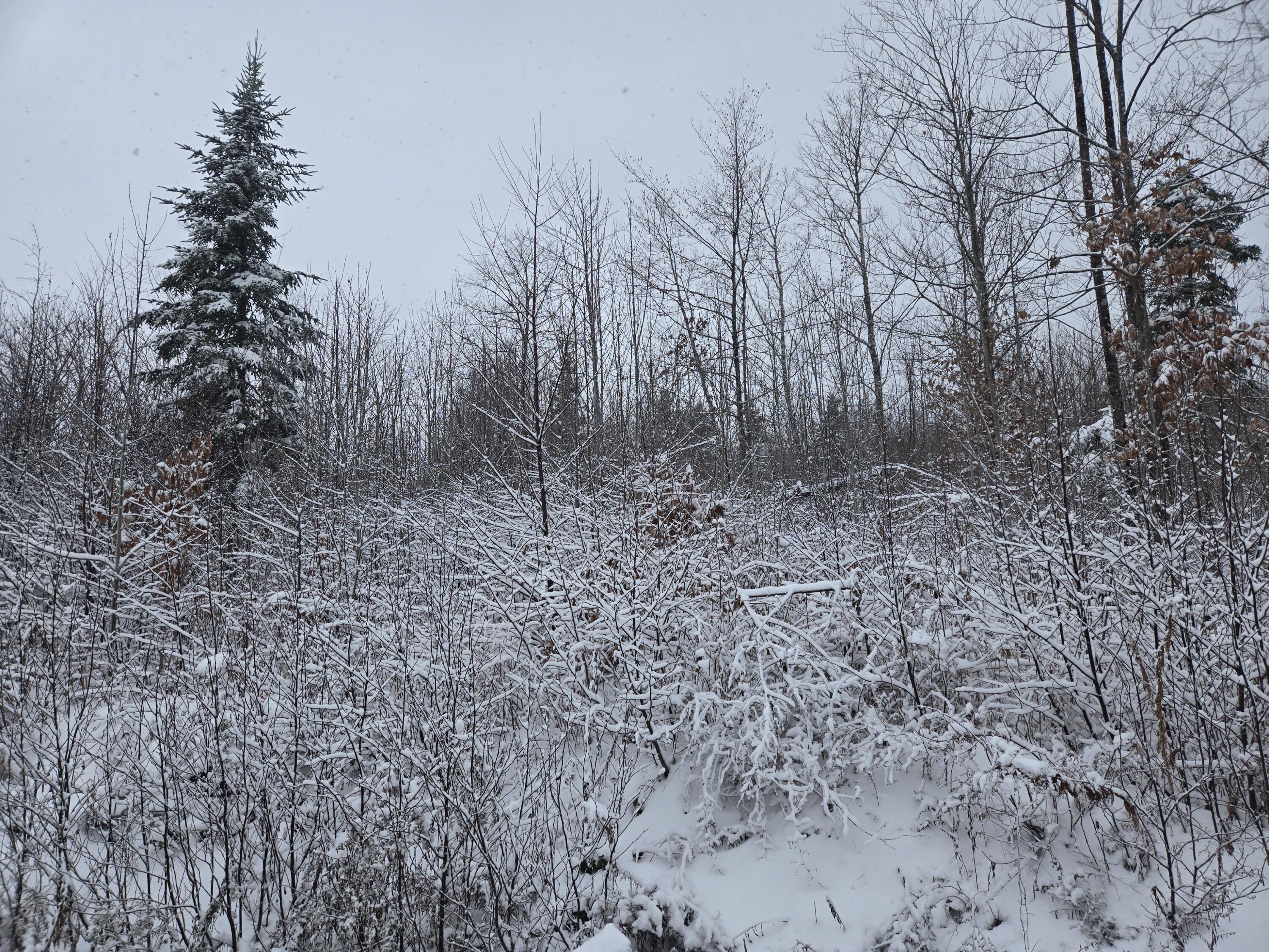 221 Brown Road Oakfield, ME 04763 - Photo 18 of 20 1000003173