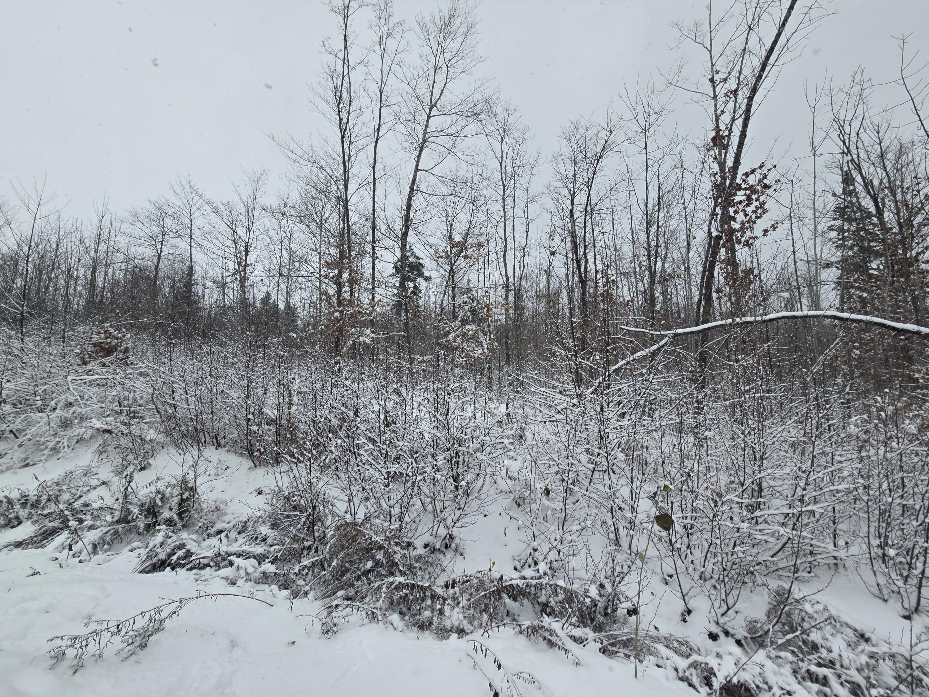 221 Brown Road Oakfield, ME 04763 - Photo 20 of 20 1000003170