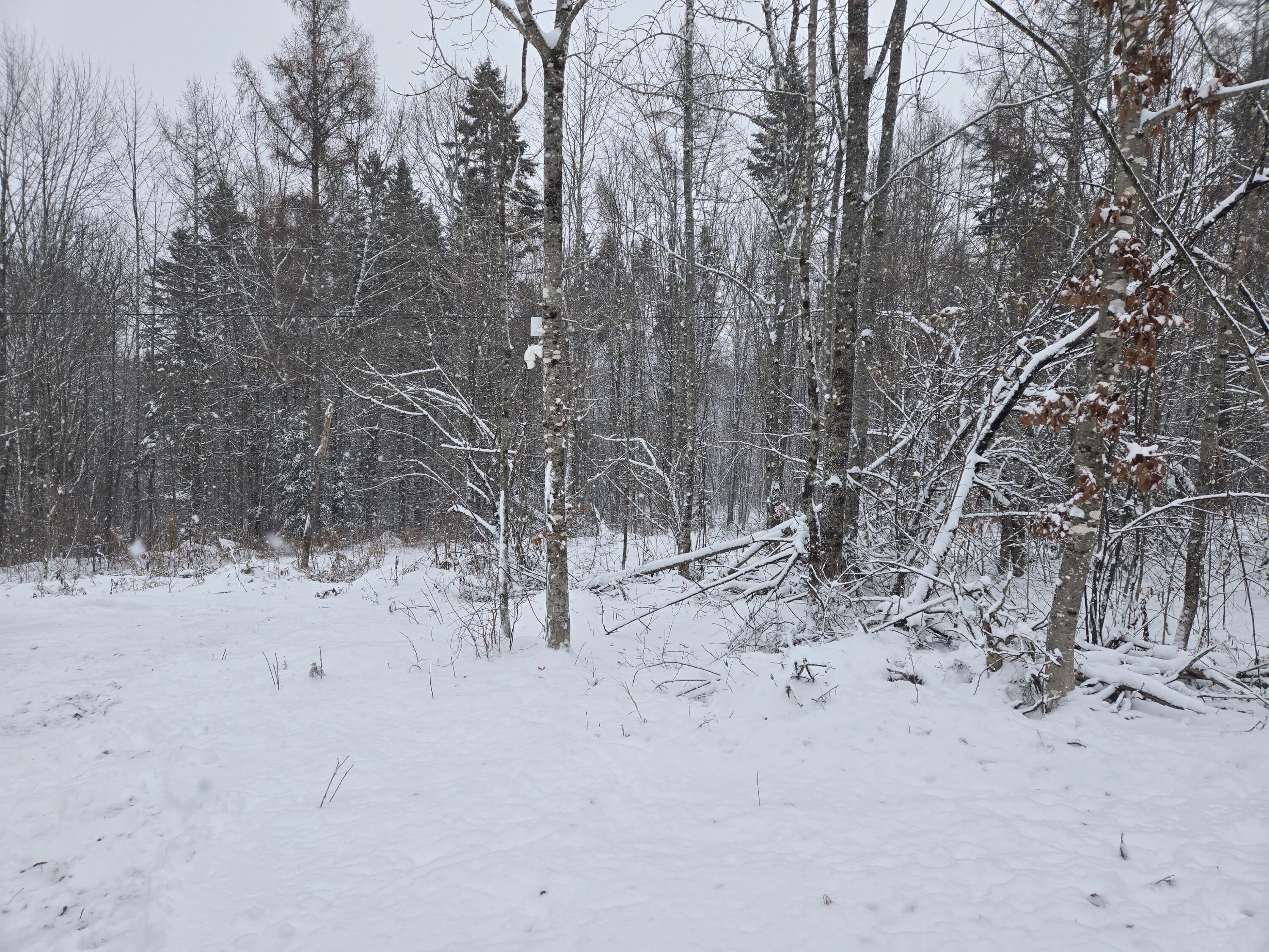 221 Brown Road Oakfield, ME 04763 - Photo 5 of 20 1000003174