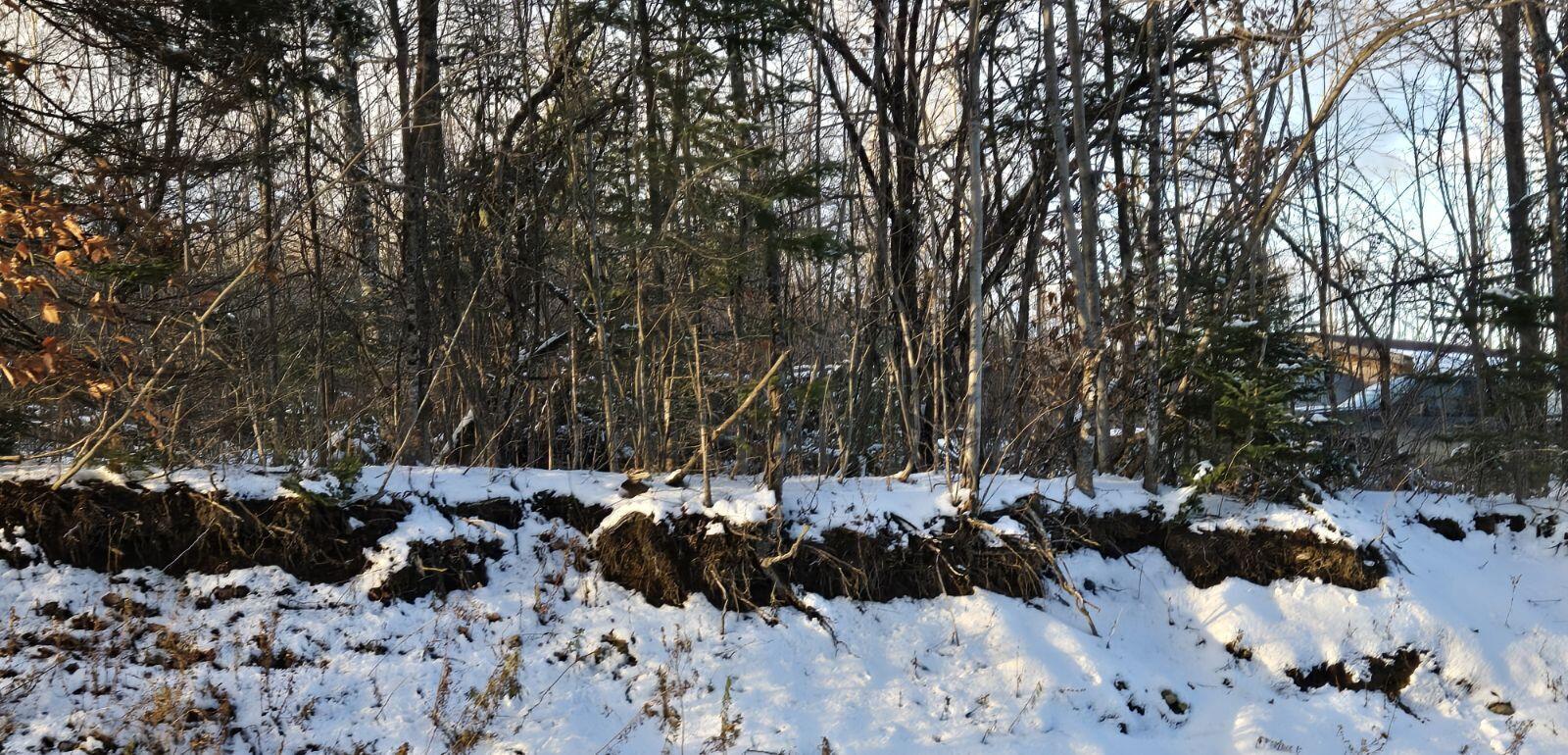 221 Brown Road Oakfield, ME 04763 - Photo 7 of 20 20251119_150546