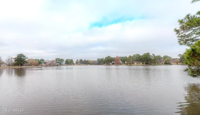 $230,000 | 418 Lakebend Place, Brandon, MS 39042