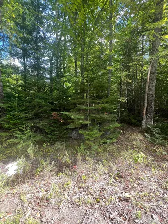 $49,900 | M4-l46-1 Church Street, Brownville, ME 04414