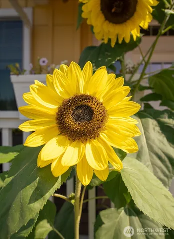 $519,000 | 4201 Ambrosia Lane, Unit B9, Bellingham, WA 98226