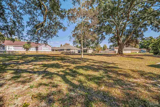 a view of yard with trees