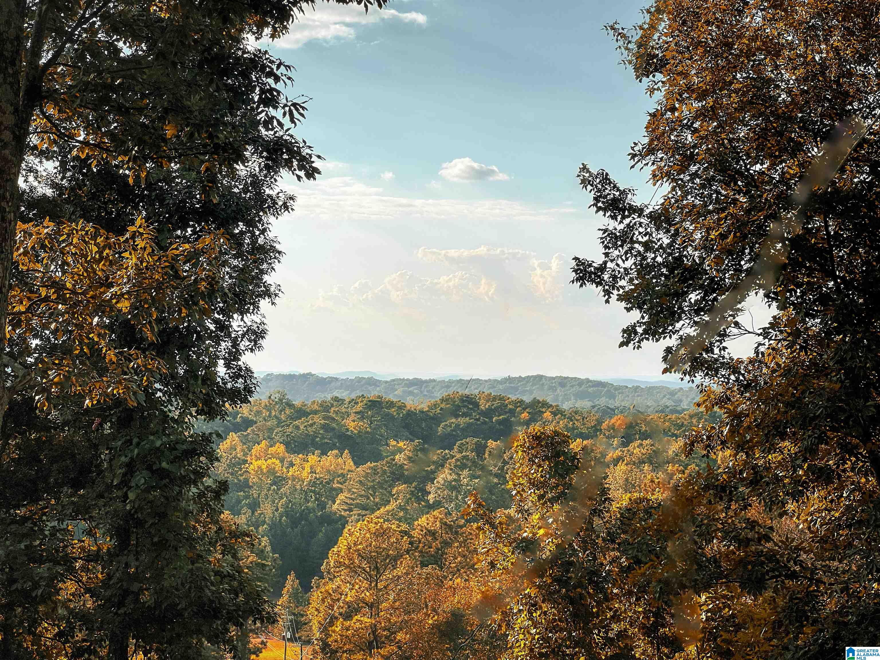 201 Cave Hill Road Weaver, AL 36277 - Photo 8 of 78