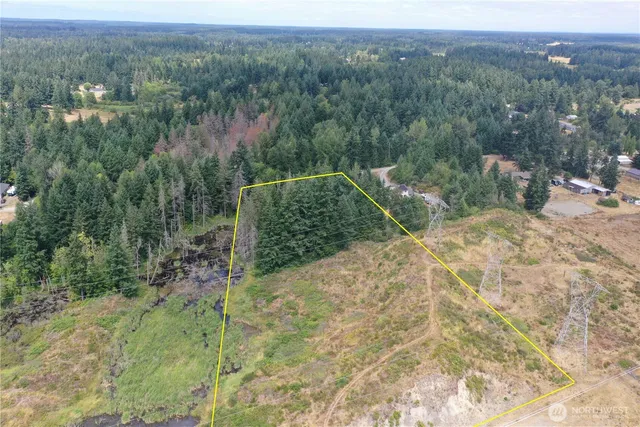 a view of a forest with a forest