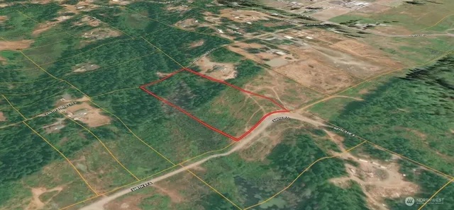 a view of a lush green forest