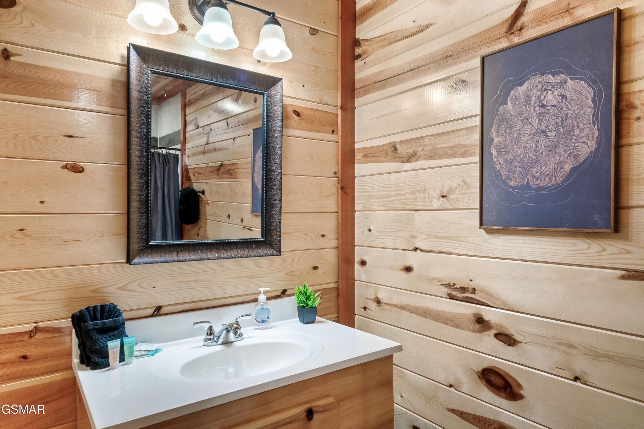 824 Rush Branch Road Pigeon Forge, TN 37863 - Photo 39 of 51 Gallery Image 39