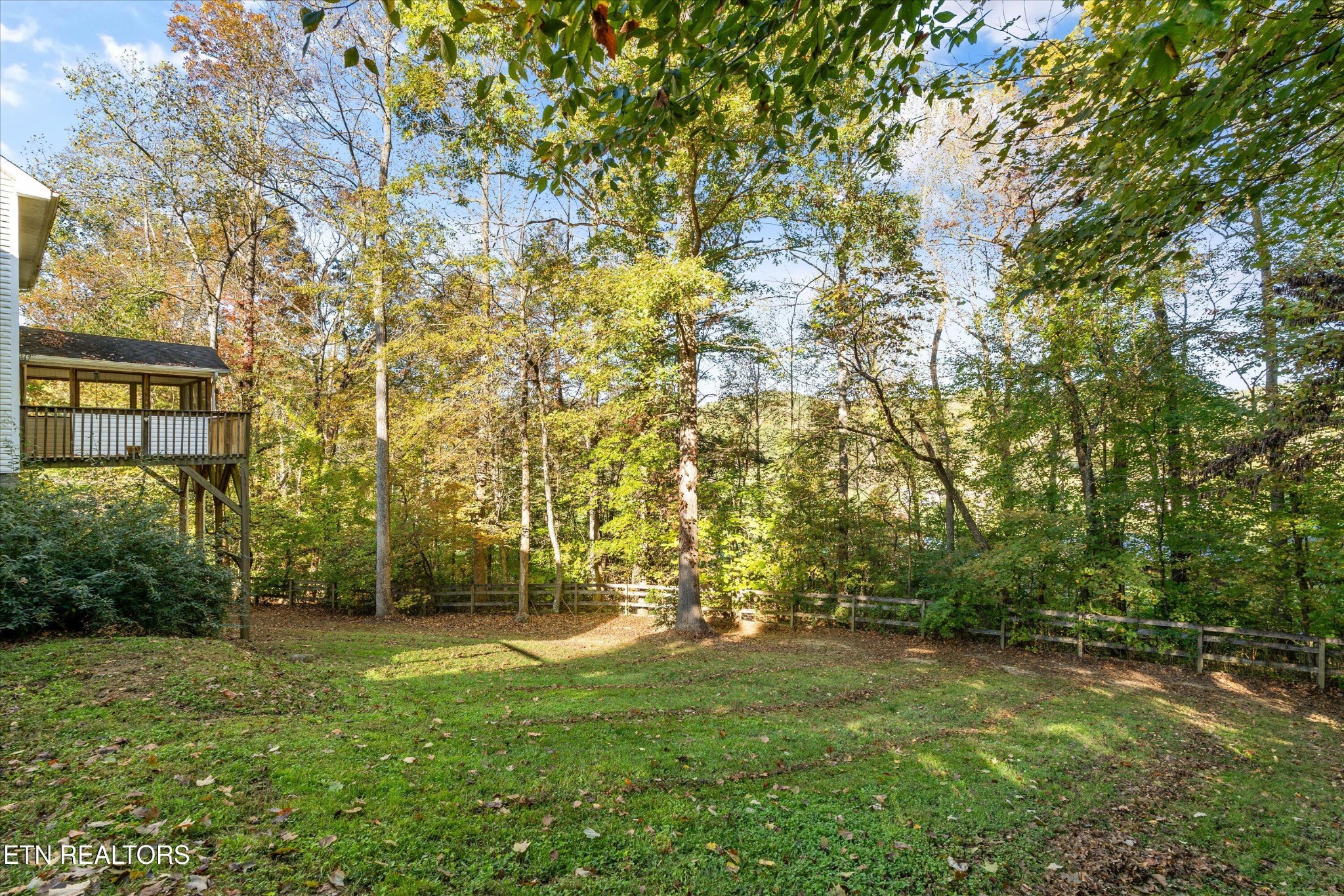 151 Huntington Lane Heiskell, TN 37754 - Photo 32 of 40 a view of yard with tree