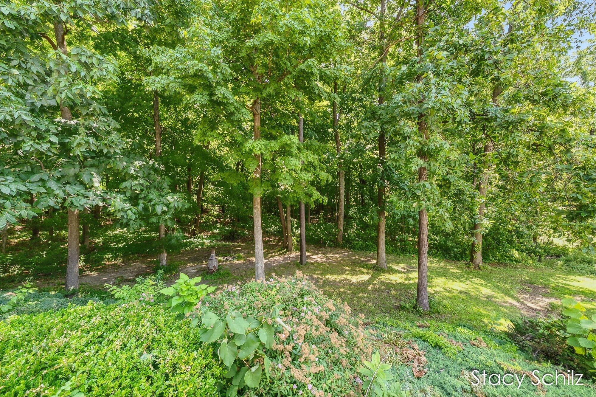 4413 Lacey Lake Road Bellevue, MI 49021 - Photo 46 of 63 46-WM4413laceylake-45