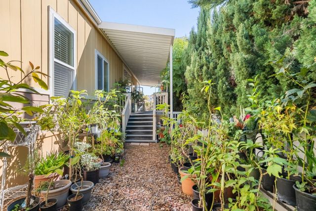 a view of a pathway of the house front of house