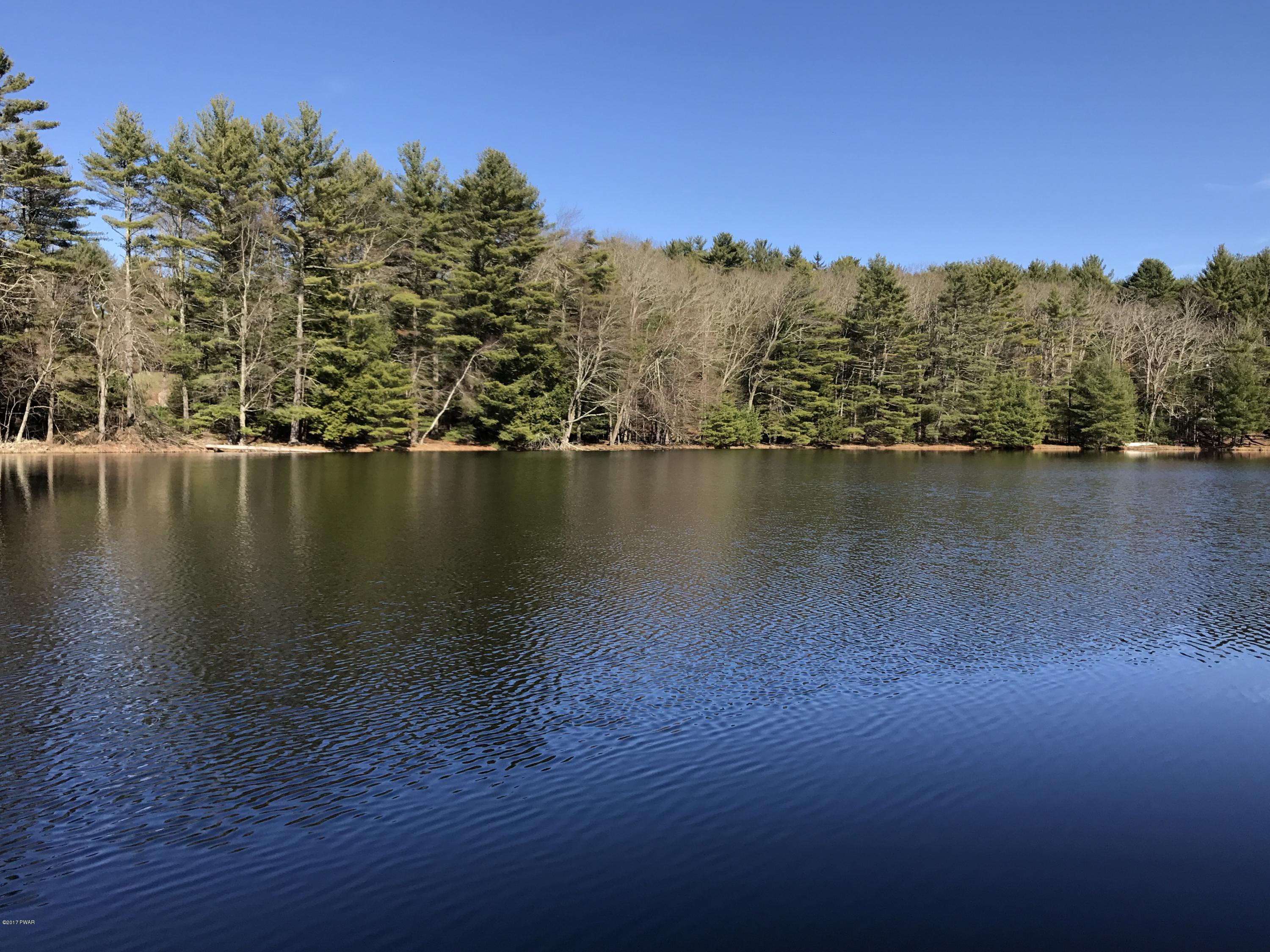 115 Cold Spring Lake Road Shohola, PA 18458 - Photo 2 of 39 Pristine Lake