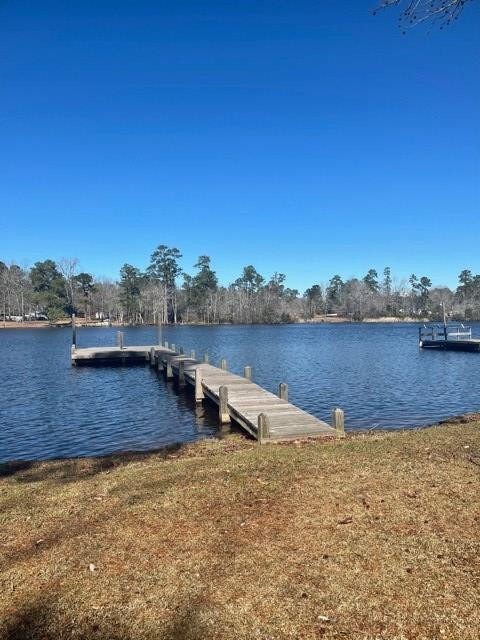 1892 Stukes Road Manning, SC 29102 - Photo 3 of 22