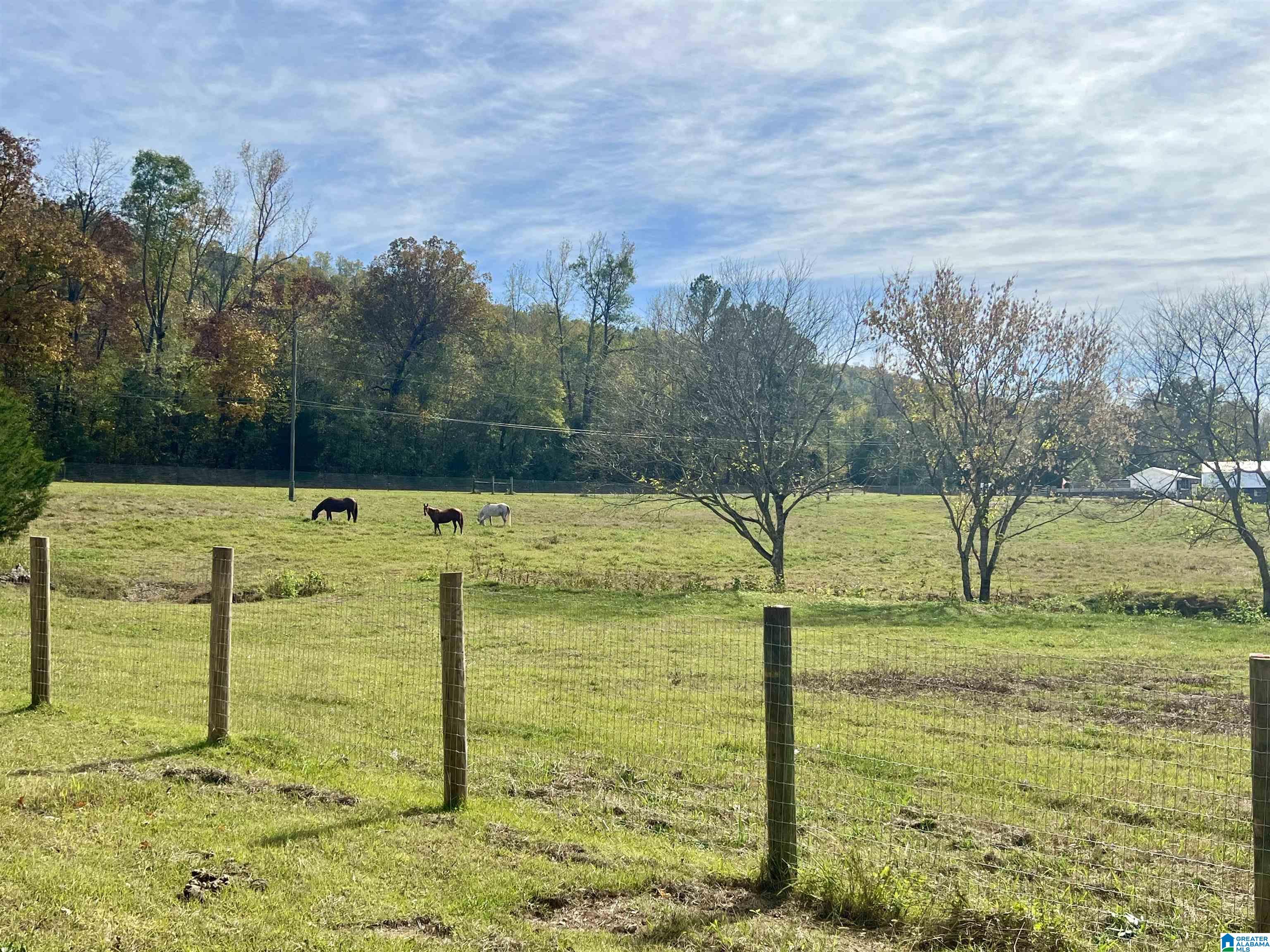 1045 A Sand Valley Road Remlap, AL 35133 - Photo 10 of 70