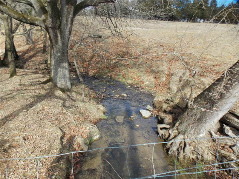 4332 Country Club Road Troutville, VA 24175 - Photo 3 of 10 Stream