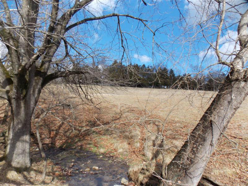 4332 Country Club Road Troutville, VA 24175 - Photo 5 of 10 Field and Branch