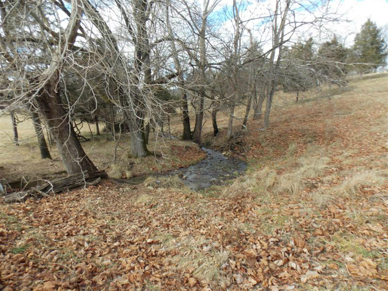 4332 Country Club Road Troutville, VA 24175 - Photo 6 of 10 Field and Branch