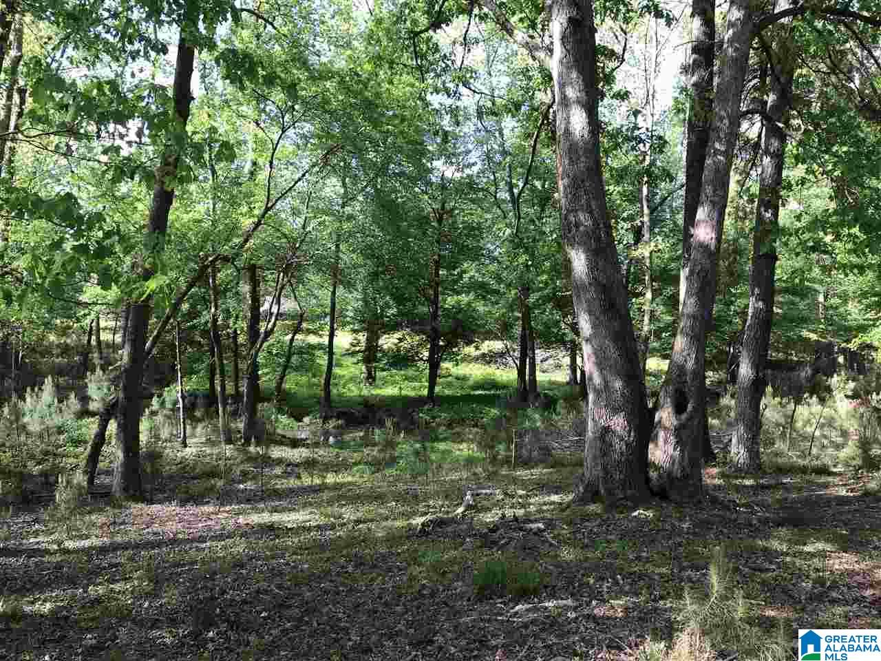 0 Steele Gap Road North, Unit 11 4 Steele, AL 35987 - Photo 9 of 26