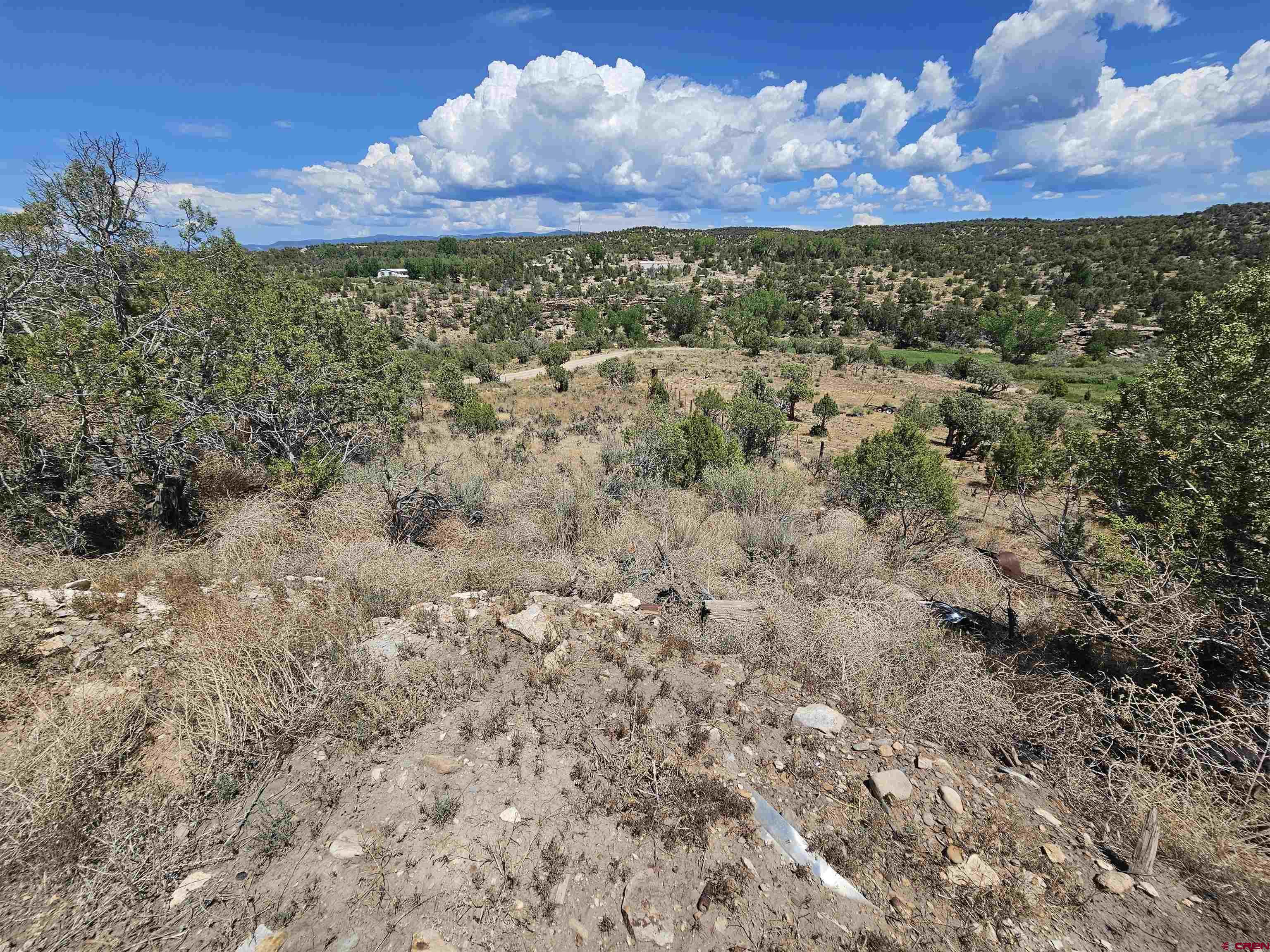 Lot 2 Bb Road Nucla, CO 81424 - Photo 12 of 18 Gallery Image 12