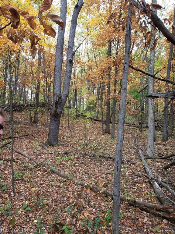2 Wiggins Road Howell, MI 48855 - Photo 16 of 21
