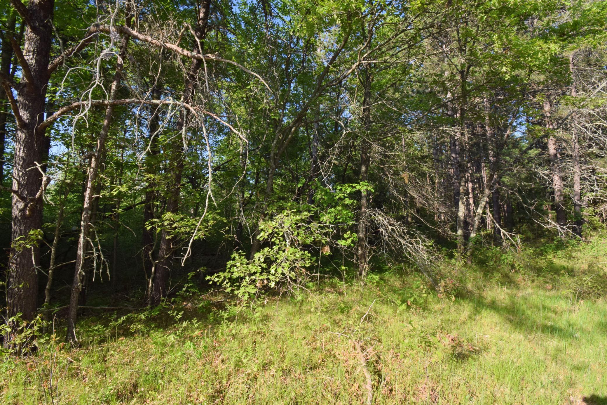 Lot 31 Setting Sun Trail Way Danbury, WI 54830 - Photo 9 of 19