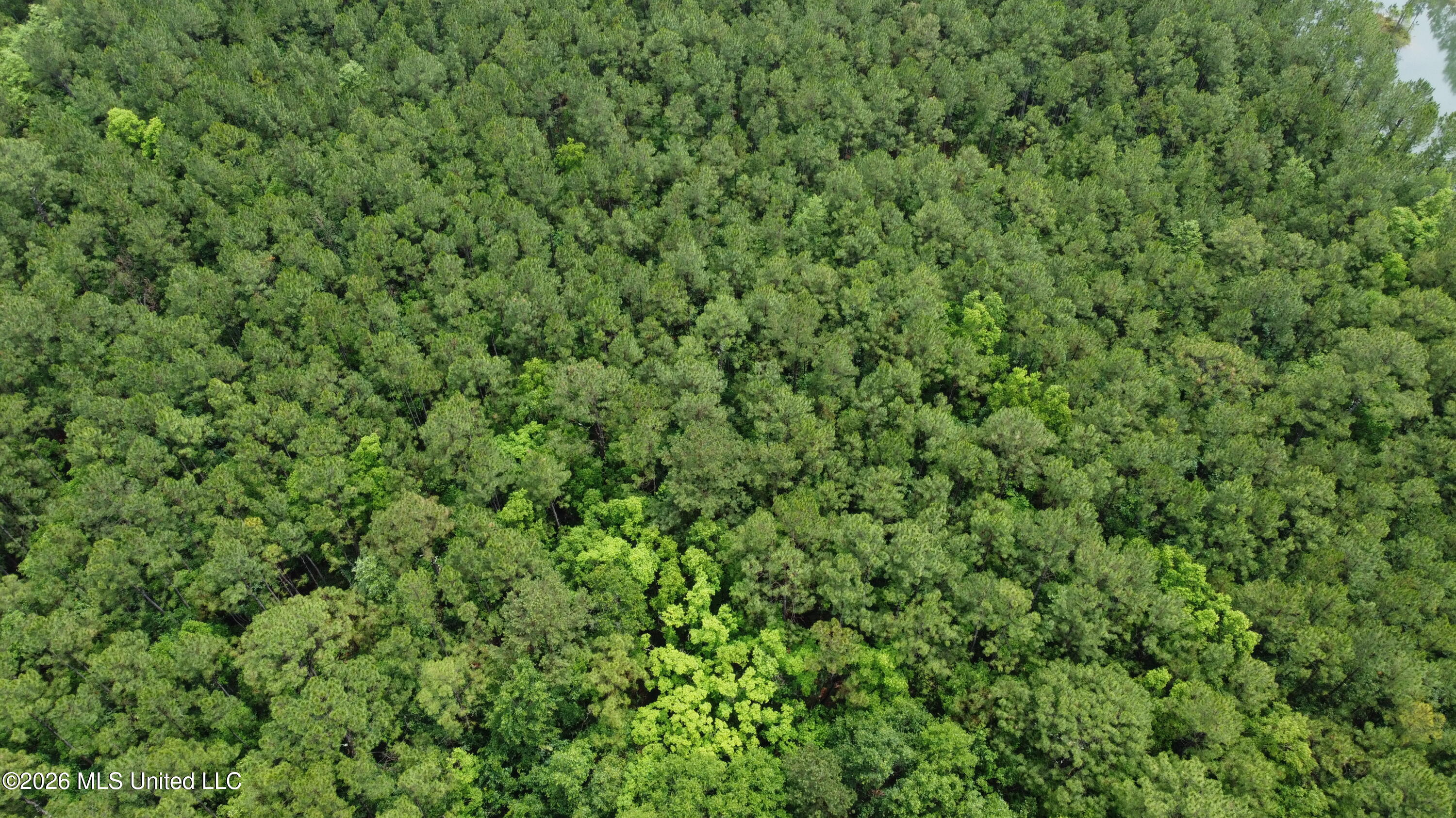 21205 South Fork Road Saucier, MS 39574 - Photo 9 of 23 dji_fly_20260521_140604_392_177939041102