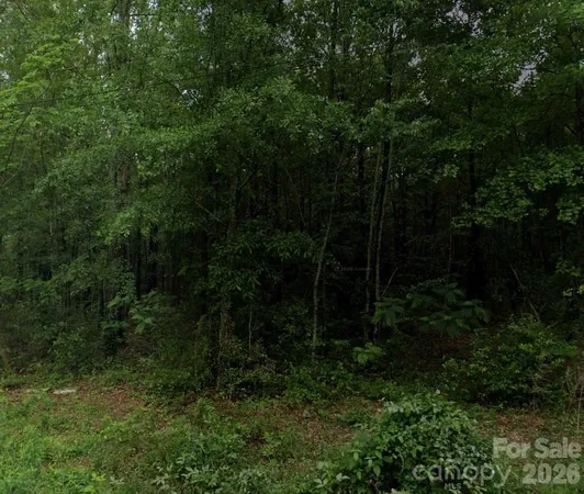 $44,900 | 0 Shoe Heel Street West, Maxton, NC 28364