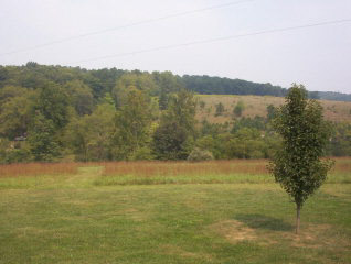 0 Green Valley Road Churchville, VA 24421 - Photo 1 of 1 a view of lake