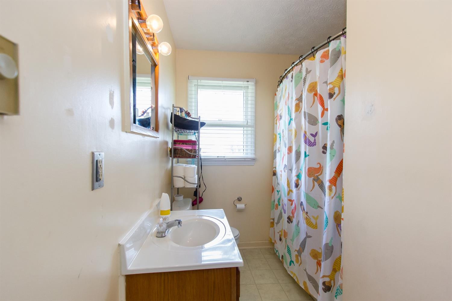 373 Dunroven Road Versailles, KY 40383 - Photo 8 of 12 Photo 8