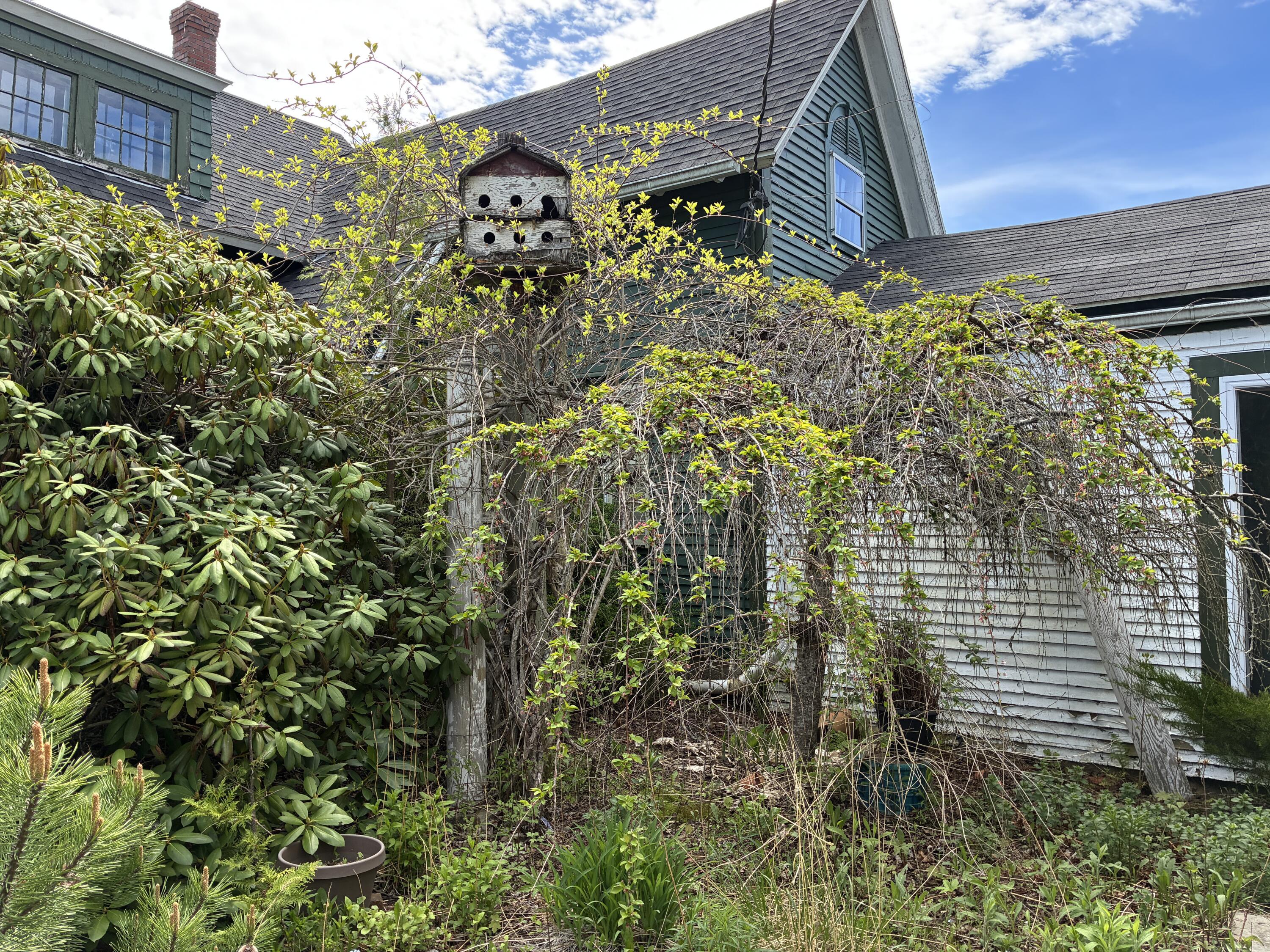 68 Village Road Steuben, ME 04680 - Photo 1 of 53 Front garden.