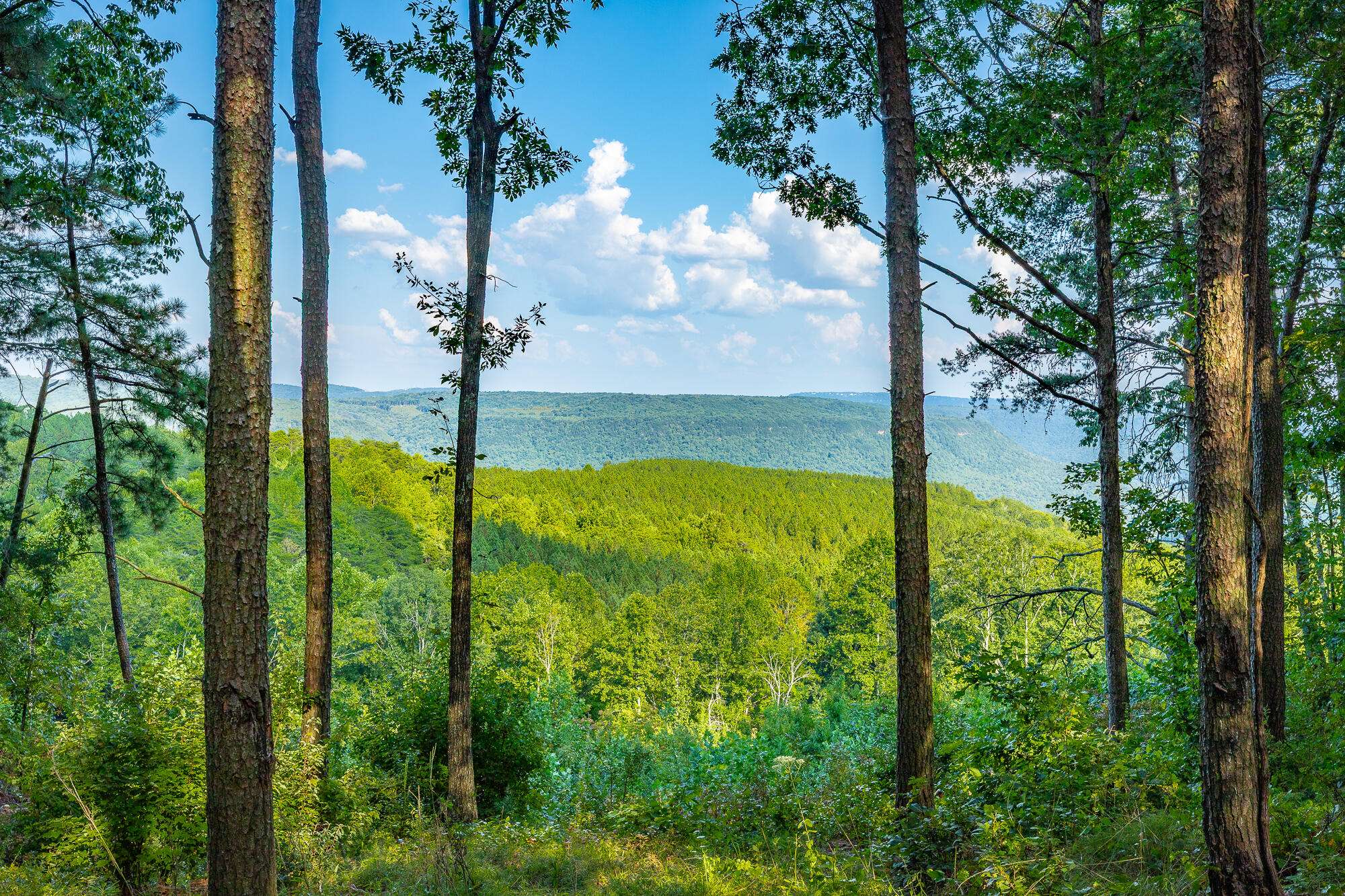 0 High Ground Road, Unit LOT 2218 Guild, TN 37340 - Photo 2 of 115 0 High Ground Road - Lot 2218 HD-75