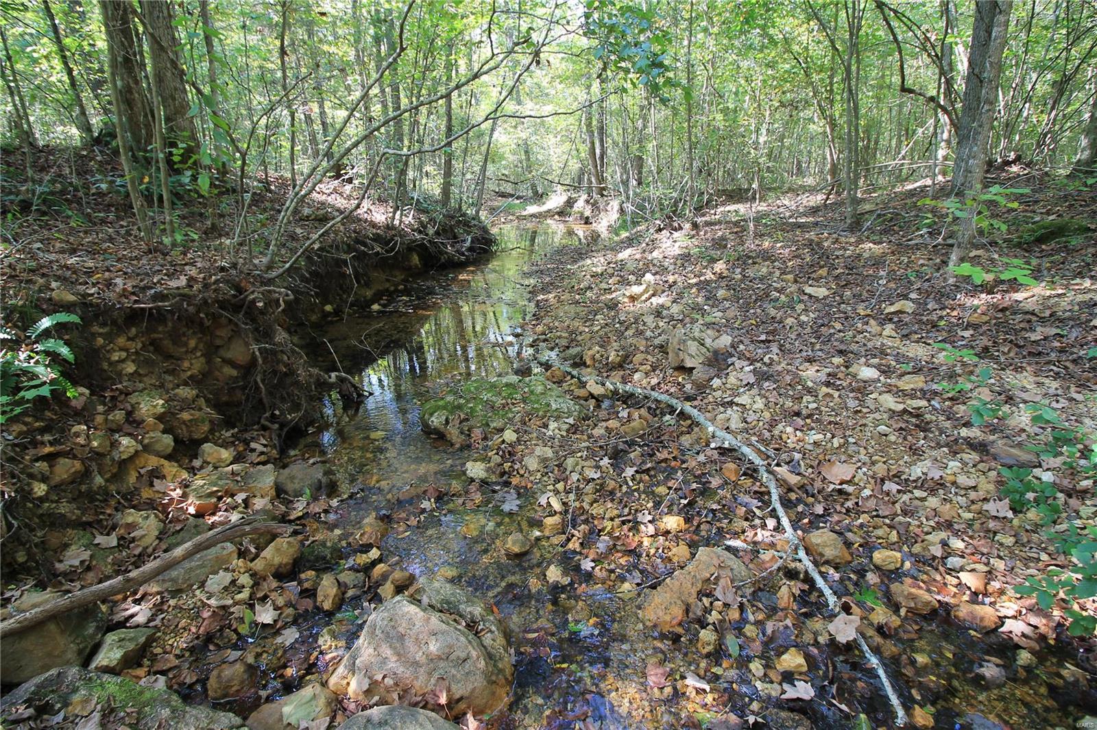 0 Madison Cr Fredericktown, MO 63645 - Photo 1 of 18