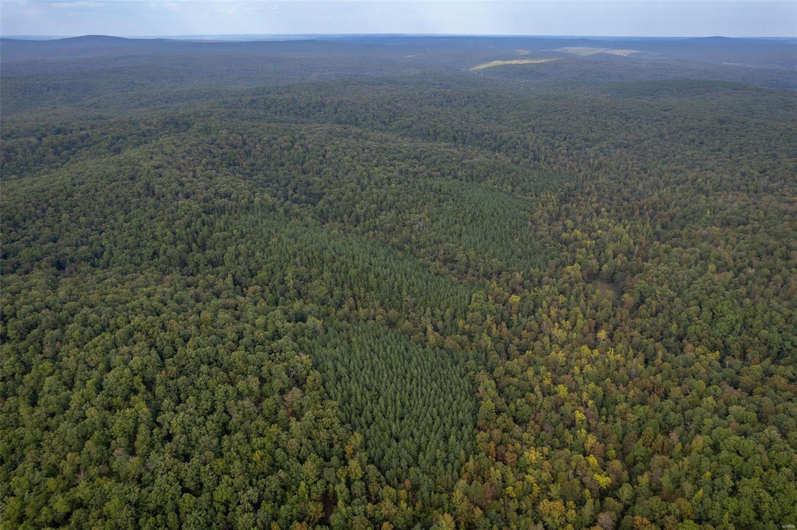 0 Madison Cr Fredericktown, MO 63645 - Photo 11 of 18