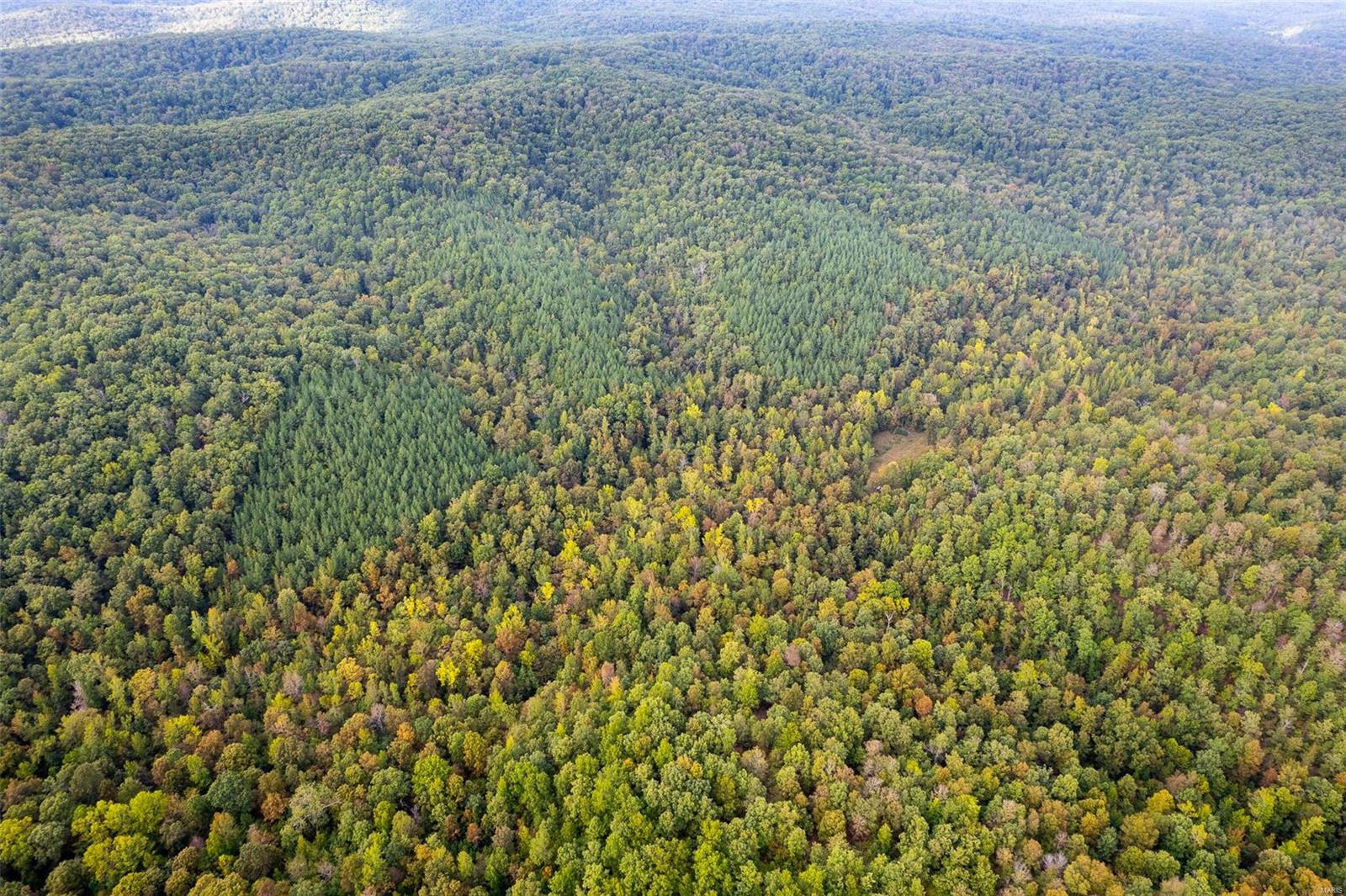 0 Madison Cr Fredericktown, MO 63645 - Photo 12 of 18