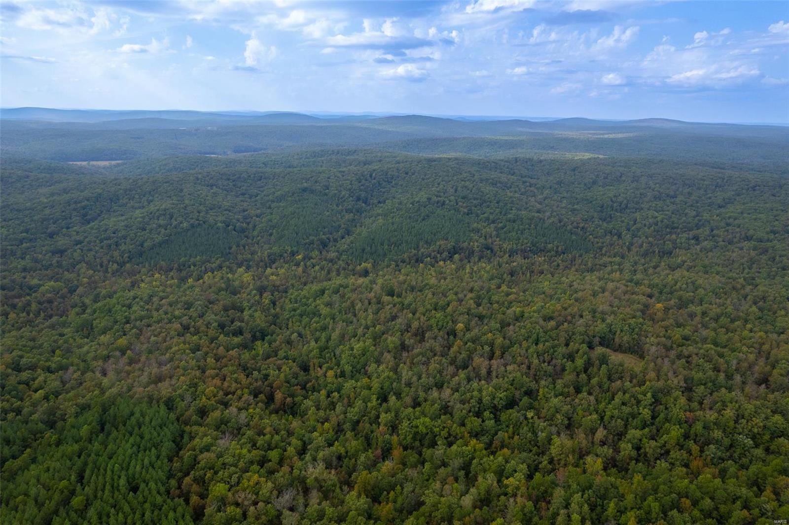 0 Madison Cr Fredericktown, MO 63645 - Photo 13 of 18