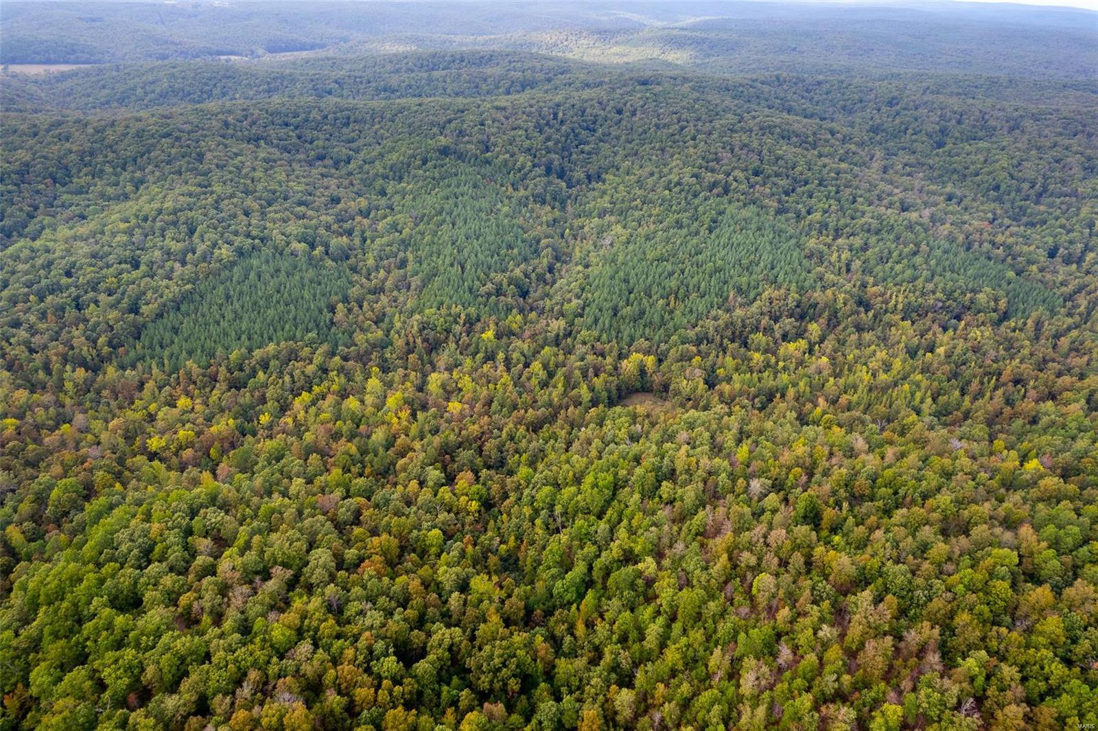 0 Madison Cr Fredericktown, MO 63645 - Photo 14 of 18